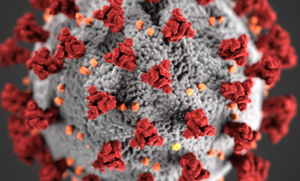 CORONAVIRUS (COVID-19) INFORMATION